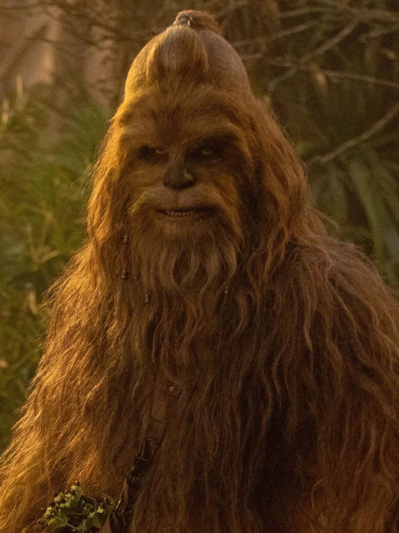 Kelnacca (Wookiee Jedi Master)